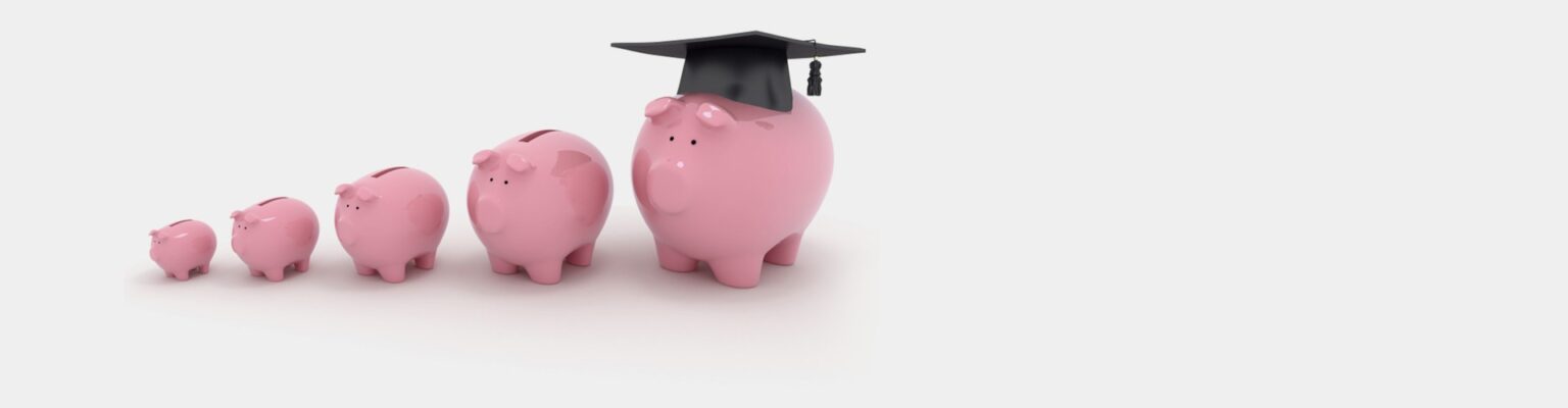 pig invest